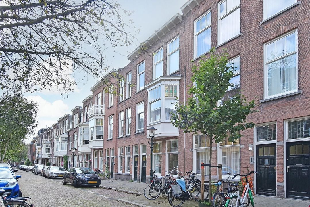 van Slingelandtstraat